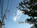 P0416710.JPG